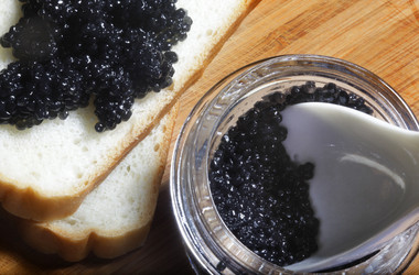 Similar image 1543515