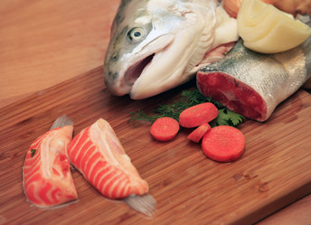 Similar image 1543519