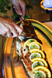 Similar image 1543529