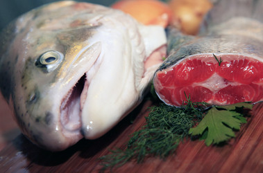 Similar image 1543538