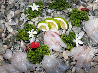 Similar image 1543540