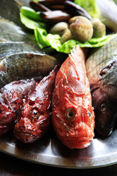 Similar image 1543542