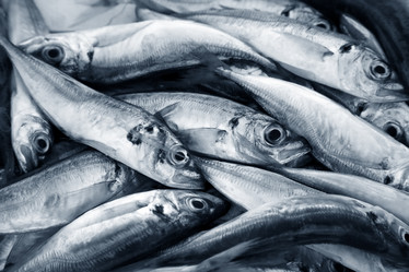 Similar image 1543543