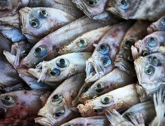 Similar image 1543544