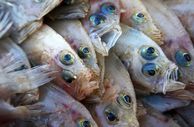 Similar image 1543545