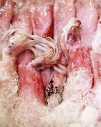 Similar image 1543558