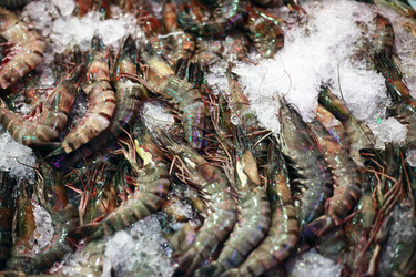 Similar image 1543560