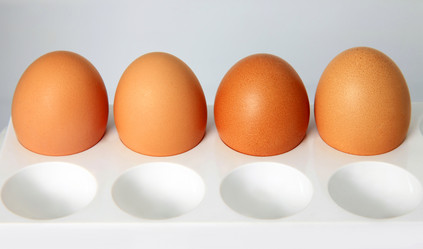 Similar image 1543561