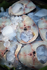 Similar image 1543573