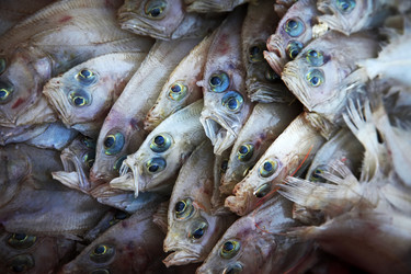 Similar image 1543574