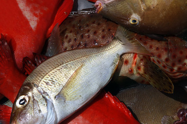 Similar image 1543575