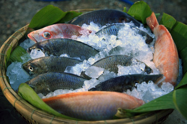 Similar image 1543577