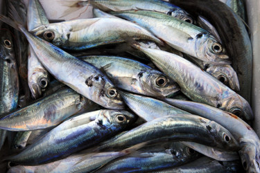 Similar image 1543578