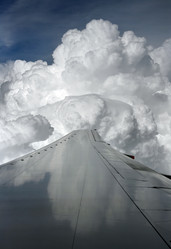 Similar image 1543646