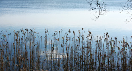 Similar image 1543659