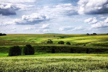 Similar image 1543661