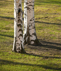 Similar image 1543662