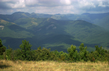 Similar image 1543665