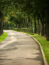 Similar image 1543666