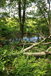 Similar image 1543667