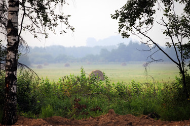 Similar image 1543670