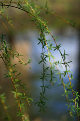 Similar image 1543673