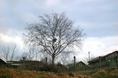 Similar image 1543675