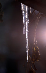 Similar image 1543676