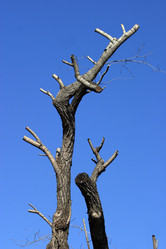 Similar image 1543677