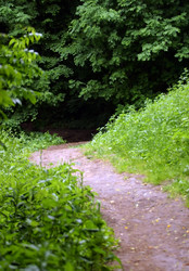 Similar image 1543680