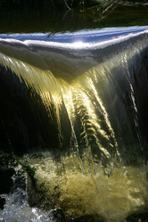 Similar image 1543689