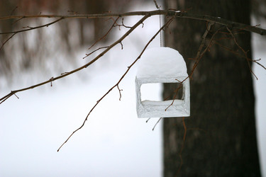 Similar image 1543706