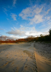 Similar image 1543709