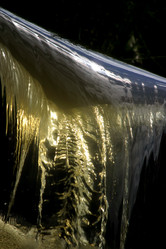 Similar image 1543714