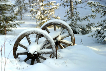 Similar image 1543720