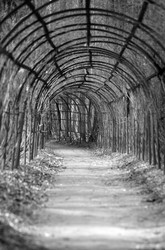 Similar image 1543725