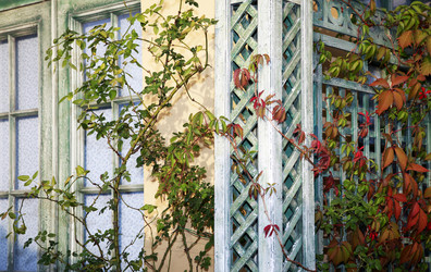 Similar image 1543737