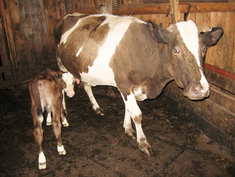 Similar image 1543759