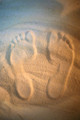 Similar image 1543783