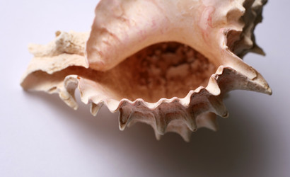 Similar image 1543786