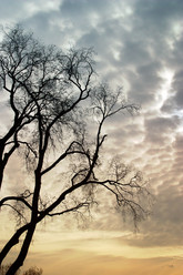 Similar image 1543793