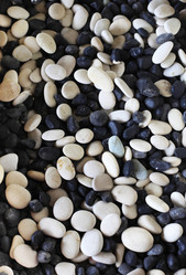 Similar image 1543797