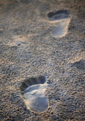 Similar image 1543799