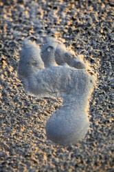 Similar image 1543800