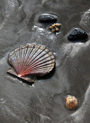 Similar image 1543808