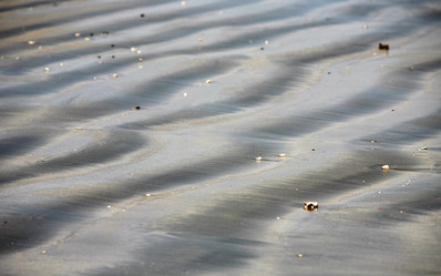 Similar image 1543816