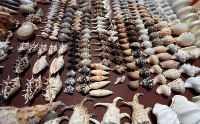 Similar image 1543818