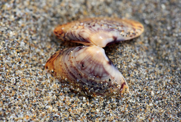 Similar image 1543831