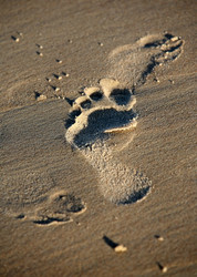 Similar image 1543832