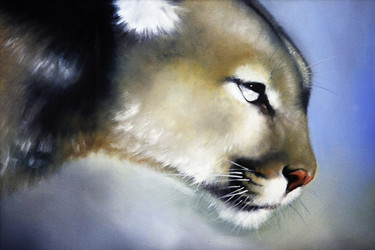 Similar image 1543886